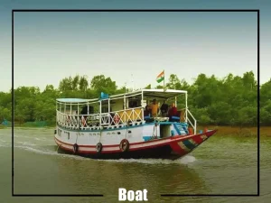 Sundarban Travel Agency