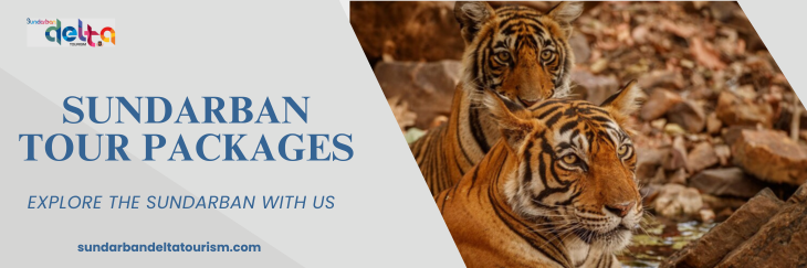 Sundarban tour packages | Royal Bengal Tiger