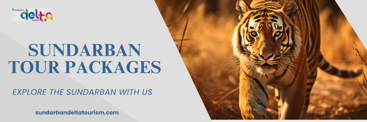 Sundarban tour packages | Royal Bengal Tiger