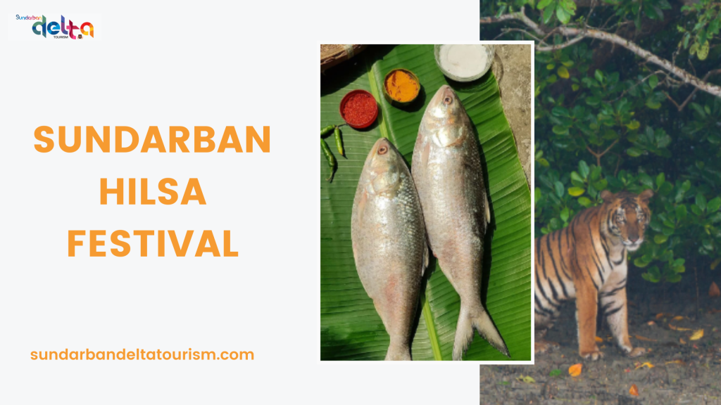 Sundarban Hilsa Festival | Sundarbans tour package