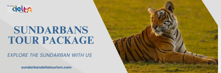 Sundarban Hilsa Festival | Sundarbans tour package 